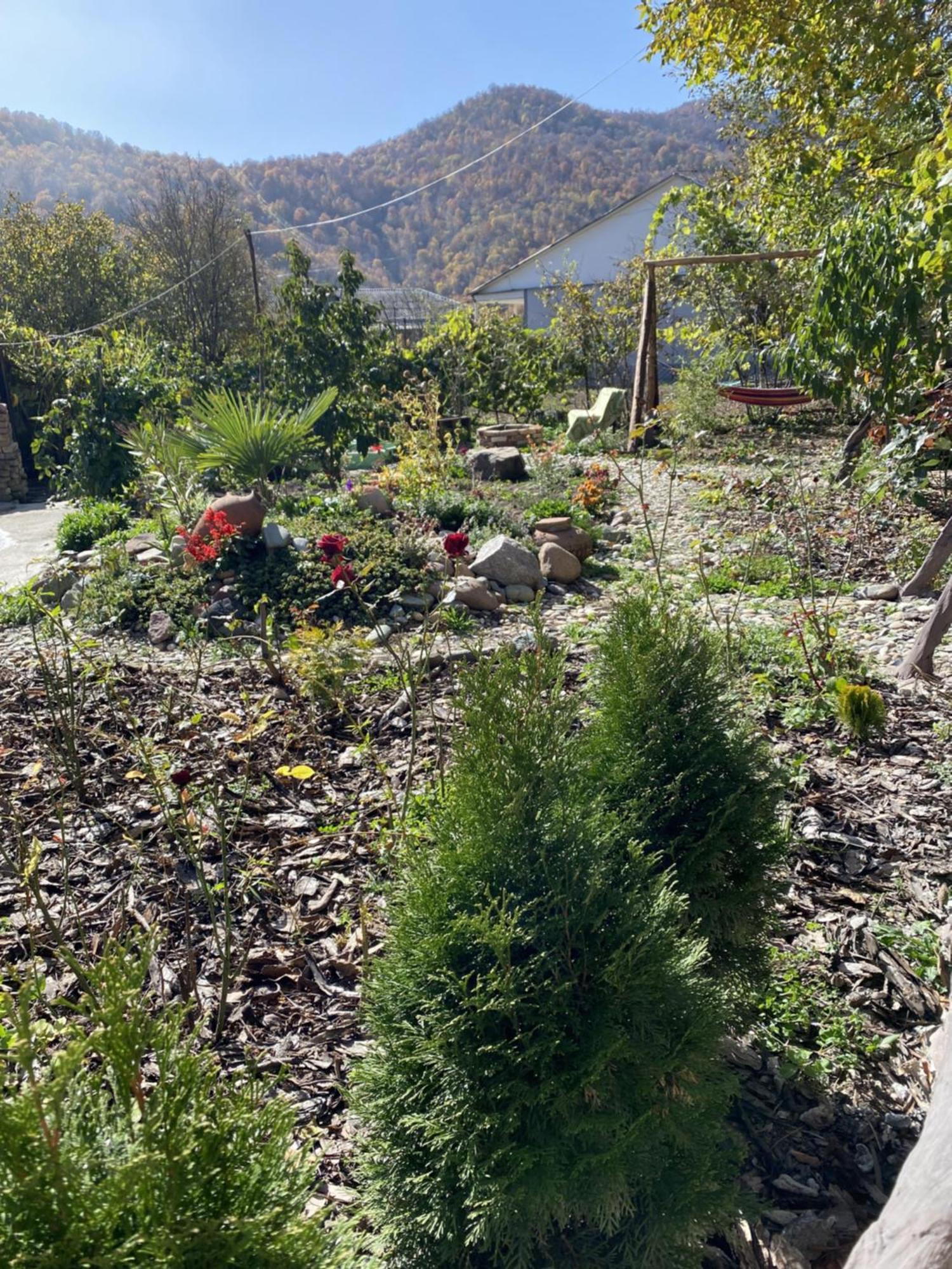 Green Park Guest House Dilijan Exterior foto