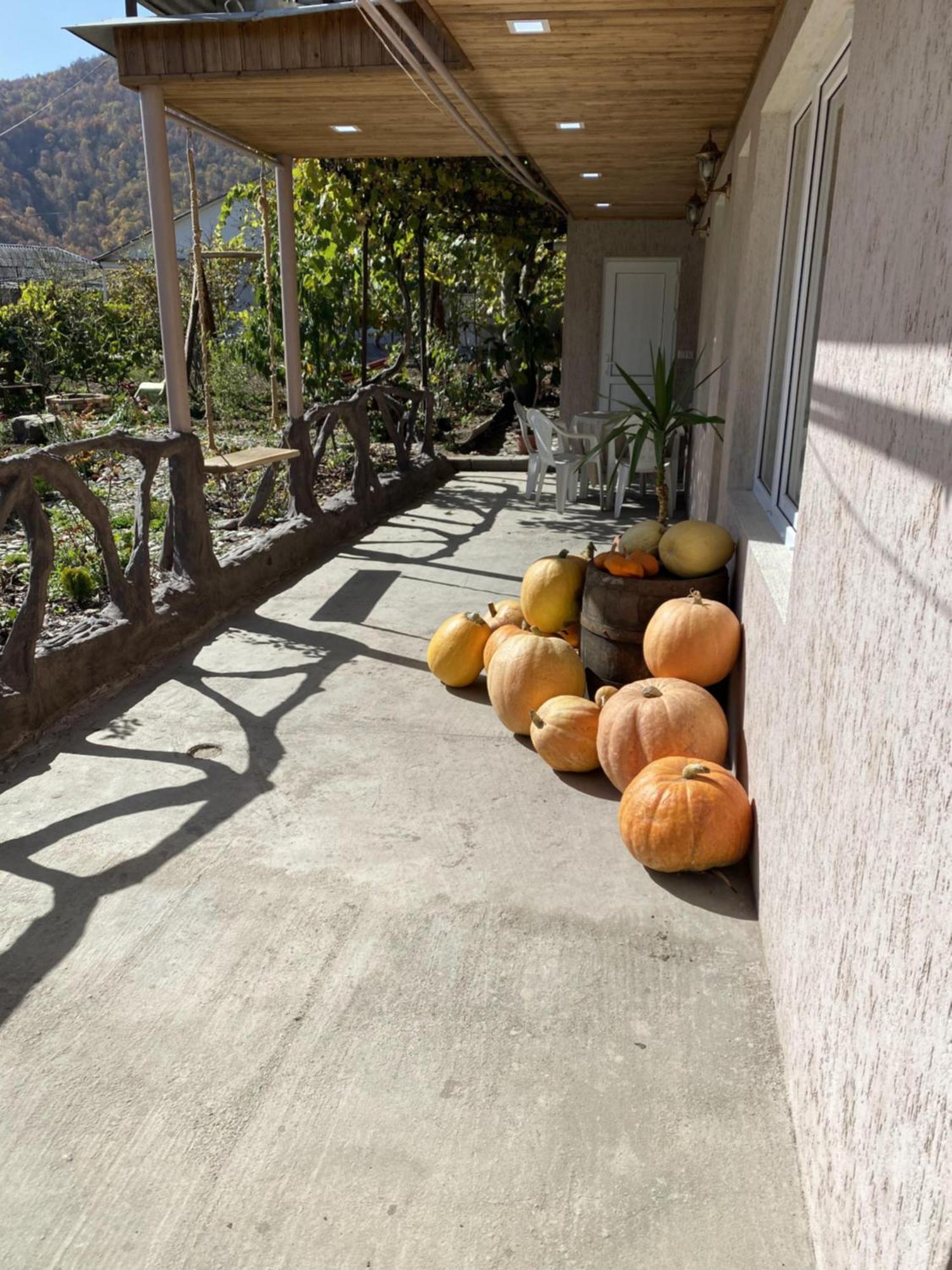 Green Park Guest House Dilijan Exterior foto